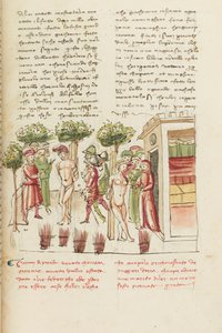 Decameron, Den unge fången - Restituta Bolgaro och Giari di Procida i skampålen , Femte dagen, novell 6. av Giovanni Boccaccio