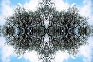 Onaturligt 100 (digitalt manipulerat foto)