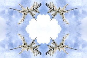 Onaturligt 115 (digitalt manipulerat foto)