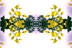 Onaturligt 151.2 (digitalt manipulerat foto)