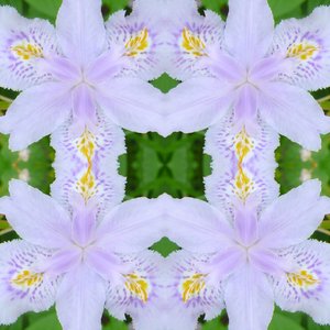 Onaturligt 174 (digitalt manipulerat foto)