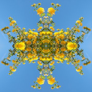 Onaturligt 193 (digitalt manipulerat foto)