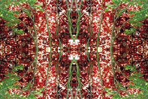Onaturlig 23 (digitalt manipulerat foto) av Giovanni Cafagna