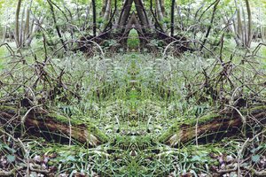 Onaturlig 33 (digitalt manipulerat foto) av Giovanni Cafagna