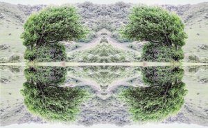 Onaturligt 40 (digitalt manipulerat foto)