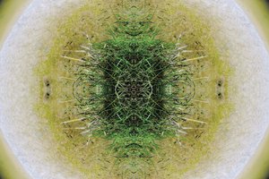 Onaturlig 6.1 (digitalt manipulerat foto)