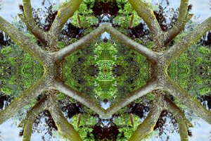 Onaturligt 65.2 (digitalt manipulerat foto)