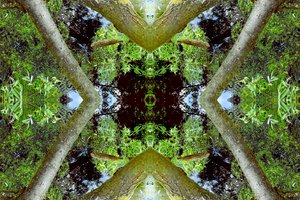 Onaturligt 65.3 (digitalt manipulerat foto) av Giovanni Cafagna