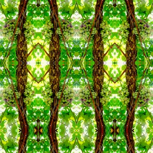 Onaturlig 74 (digitalt manipulerat foto)