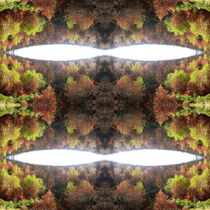 Onaturligt 77.1 (digitalt manipulerat foto)