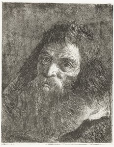 Man med långt hår och skägg av Giovanni Domenico Tiepolo