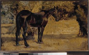 Dark horse (olja på duk av Giovanni Fattori