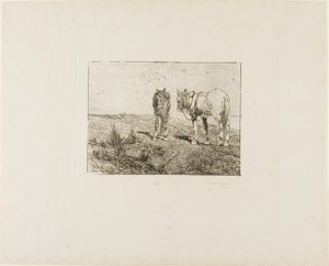 Hästarnas vila av Giovanni Fattori