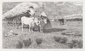 Oxar spända för en kärra (Maremma) av Giovanni Fattori
