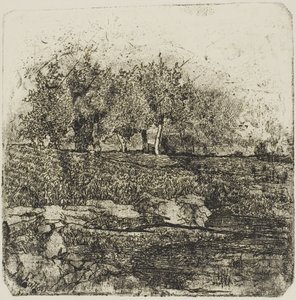 Träd på en äng av Giovanni Fattori