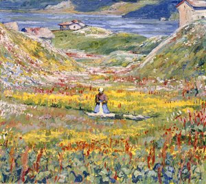 Blommande ängar i Maloja; Blommande ängar nära Maloja, ca 1912-1924