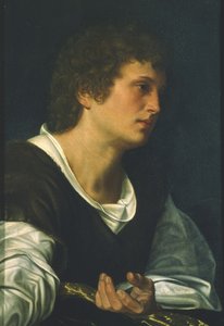 Evangelisten Johannes (olja på duk) av Giovanni Girolamo Savoldo