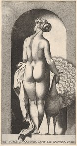 Plåt 4: Juno står i en nisch, sedd bakifrån, strök en påfågel till höger om henne, fr..., 1526.