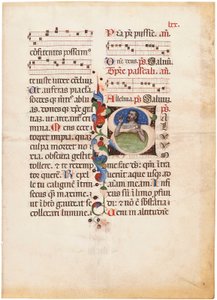 Psalmisten i havet, initialen "S" på ett blad från ett illuminerat noterat breviarium, Bologna eller Ferrara, ca 1440 (bläck och färg på pergament) av Giovanni di Antonio da Bologna