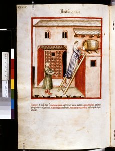 Theatrum sanitatis av Ububchasym de Baldach: "Acetum", 1300-talets första decennium (miniatyr)