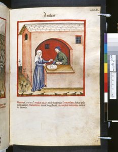 Theatrum sanitatis av Ububchasym de Baldach: "Amilum", 1300-talets första decennium (miniatyr)