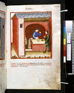 Theatrum sanitatis av Ububchasym de Baldach: "Rizon", 1300-talets första decennium (miniatyr) av Giovannino de