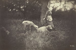 Herdinna lutad mot ett träd, med två får, 1870.