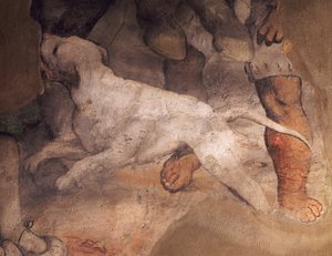 Figur av hund, detalj från fresk av Girolamo Romanino (ca1484-1566), Sant