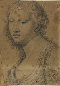 Byst av kvinna av Girolamo da Carpi