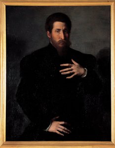 Porträtt av en viril man av Girolamo da Carpi
