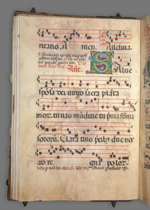 Gradvis av Girolamo dai Libri
