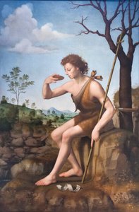 Sankt Johannes Döparen av Giuliano Bugiardini