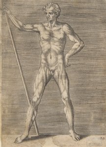 Flätad man sedd framifrån, håller en pinne, ca. 1531-76.