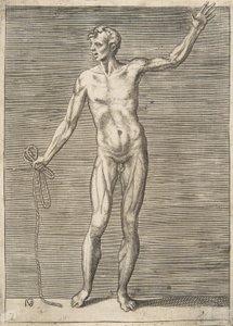 Man sedd framifrån, håller ett rep i sin högra hand, 1500-talet. av Giulio Bonasone