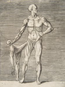 Man sedd framifrån, håller huden på sin högra arm och ben i sin högra Ha..., 1500-talet. av Giulio Bonasone