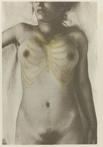 Anatomisk foto av een vrouwelijk lijk: 
