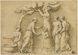 Adonis födelse av Giulio Romano