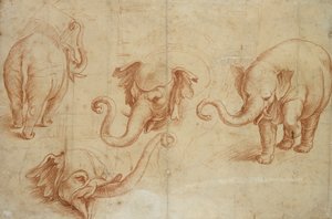 Fyra studier av en elefant, tidigt 1500-tal av Giulio Romano