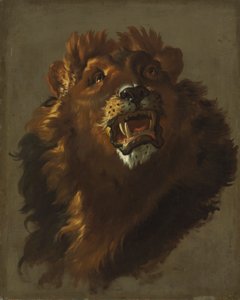 Lejon