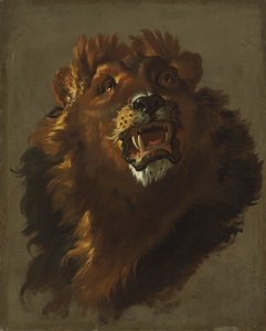 Lejon, 1750-tal.