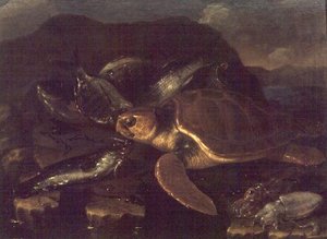 Stilleben med en fisk och en sköldpadda