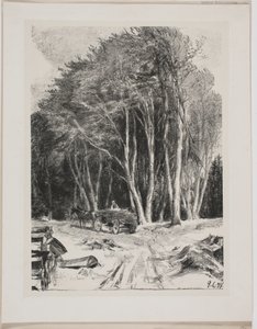 Skogsavverkning av Godfred Christensen