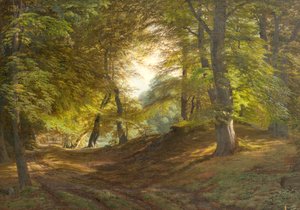 En skog nära Frederiksborgs slott