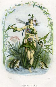 Illustration för "Les Fleurs Animees