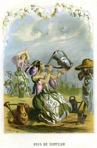 Illustration för "Les Fleurs Animees