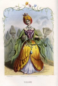 Illustration för "Les Fleurs Animees