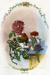 Illustration för "Les Fleurs Animees