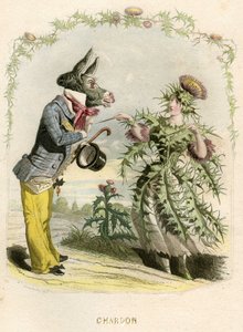 Illustration för "Les Fleurs Animees