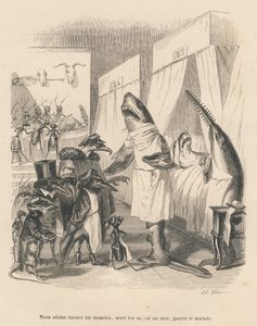 Doktorhajar förklarar sin operation. Miniatyrer illustrerade av JJ Granville. Gravyr signerad Godard i delen med titeln "Djurläkarna" skriven av Pierre Bernard i "Scener från djurens privata och offentliga liv". Förbi av Grandville