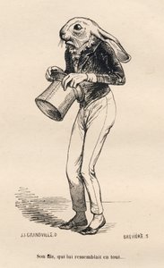 Fega Lievre i dandy kostym. Vinjetter illustrerade av JJ Granville. Gravyr signerad Breviere i delen "History of a Hare" skriven av PJ Stahl i "Scener av djurens privata och offentliga liv". Paris, J. Hetzel och Paulin av Grandville